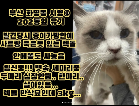 804a0646a88fa069f8094626296a944b_1649678981_3609.png 804a0646a88fa069f8094626296a944b_1649678981_3609.png