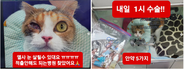3a3284f54300dda18d6b089b3cbf96af_1652351034_1945.png 3a3284f54300dda18d6b089b3cbf96af_1652351034_1945.png