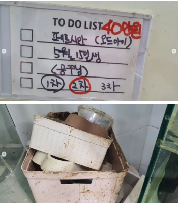 65375418f820b07adc0bc83cf5e659d3_1653805568_4772.png 65375418f820b07adc0bc83cf5e659d3_1653805568_4772.png