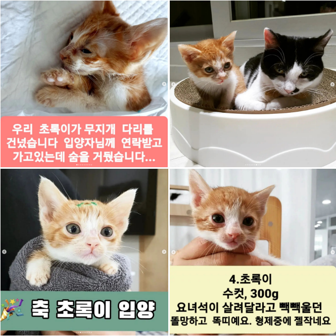9dd4e499f7cdd7badaabb0e0b11be22f_1652096347_582.png 9dd4e499f7cdd7badaabb0e0b11be22f_1652096347_582.png