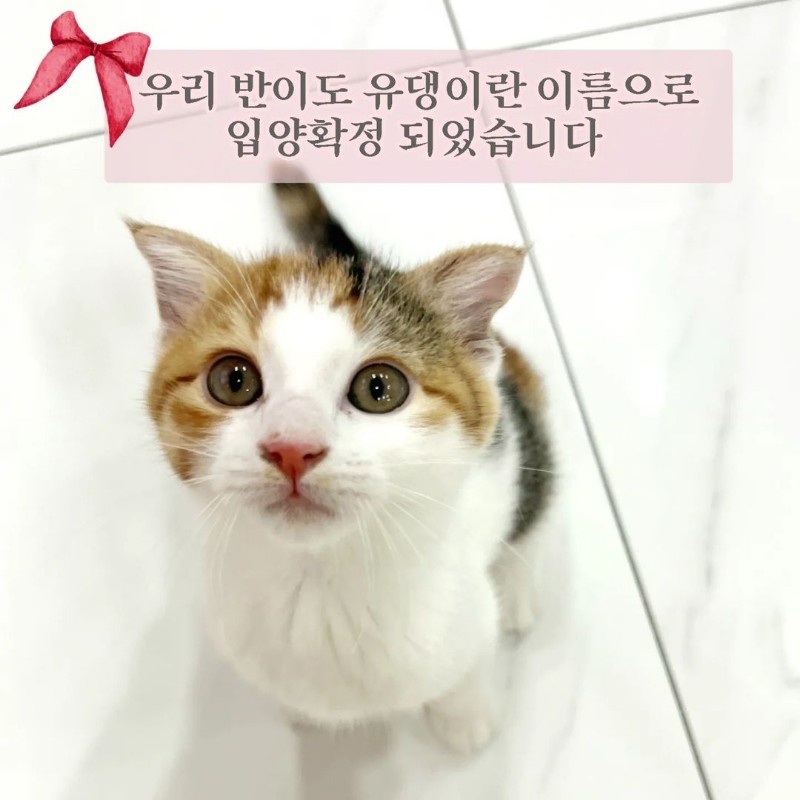 80e13c01709ba724cf1a27cbe9eb3ac4_1655895993_8341.jpg 80e13c01709ba724cf1a27cbe9eb3ac4_1655895993_8341.jpg