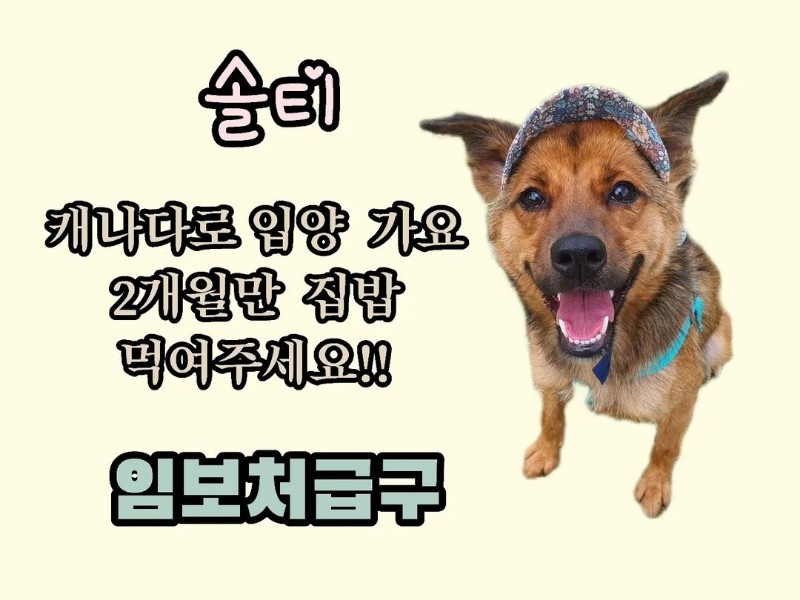 434597ae125bc721d9b631ee3af11c98_1657593694_2942.jpg 434597ae125bc721d9b631ee3af11c98_1657593694_2942.jpg