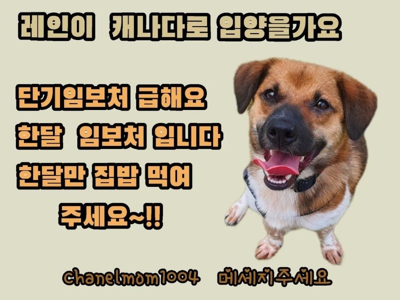 434597ae125bc721d9b631ee3af11c98_1657598566_214.jpg 434597ae125bc721d9b631ee3af11c98_1657598566_214.jpg