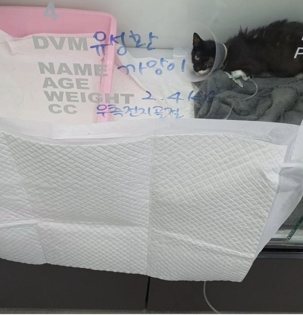 7a12e0bee9c2a33bba84aaa2c7e85233_1661499656_543.jpg 7a12e0bee9c2a33bba84aaa2c7e85233_1661499656_543.jpg