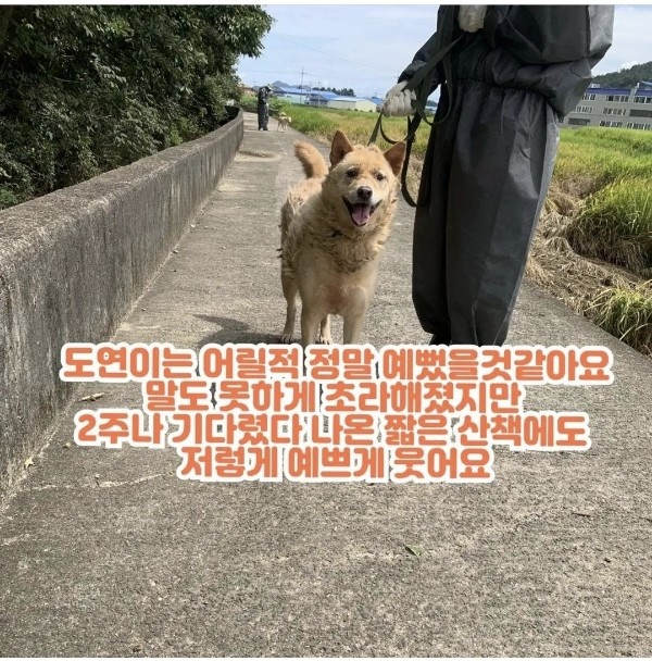 c7f5cabf9938b8d3cc32d065e6502e24_1662539428_7865.jpg c7f5cabf9938b8d3cc32d065e6502e24_1662539428_7865.jpg