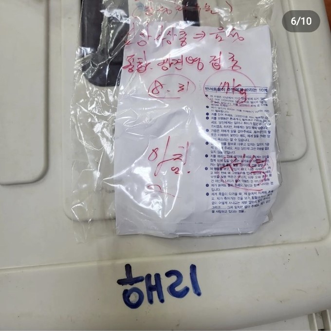 c7f5cabf9938b8d3cc32d065e6502e24_1662542232_5103.jpg c7f5cabf9938b8d3cc32d065e6502e24_1662542232_5103.jpg