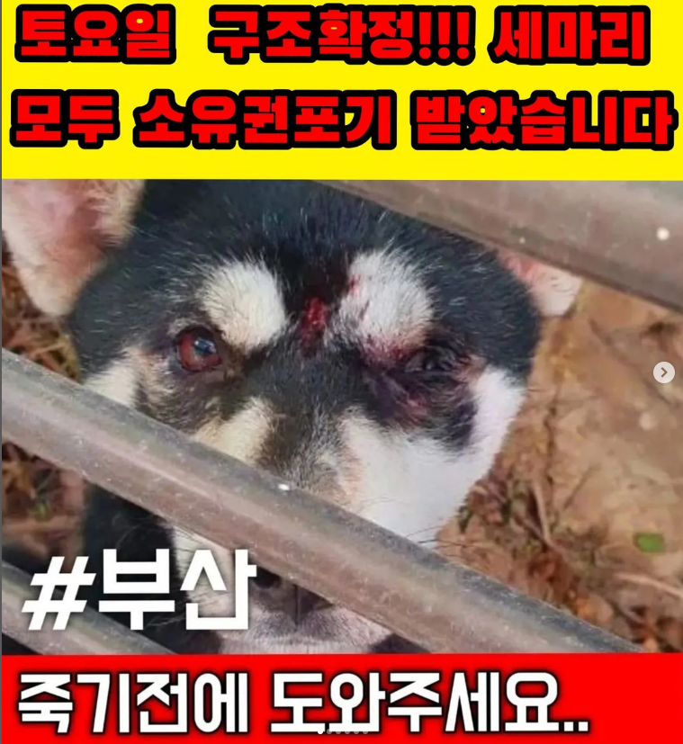 cbf1bcb05220d834a8c961fd839d527a_1669439330_5512.png cbf1bcb05220d834a8c961fd839d527a_1669439330_5512.png
