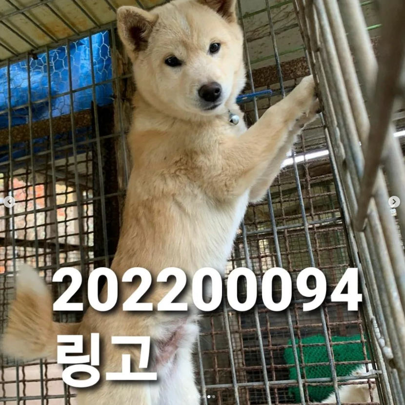 cbf1bcb05220d834a8c961fd839d527a_1669441401_6092.png cbf1bcb05220d834a8c961fd839d527a_1669441401_6092.png