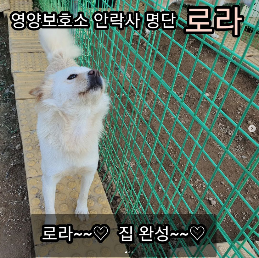 cbf1bcb05220d834a8c961fd839d527a_1669444547_0797.png cbf1bcb05220d834a8c961fd839d527a_1669444547_0797.png