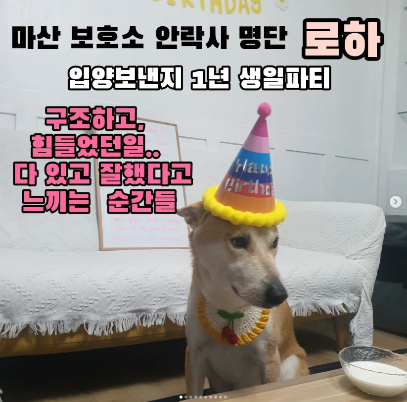 cbf1bcb05220d834a8c961fd839d527a_1669452495_3168.png cbf1bcb05220d834a8c961fd839d527a_1669452495_3168.png