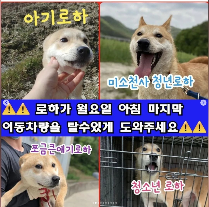 cbf1bcb05220d834a8c961fd839d527a_1669452496_1075.png cbf1bcb05220d834a8c961fd839d527a_1669452496_1075.png
