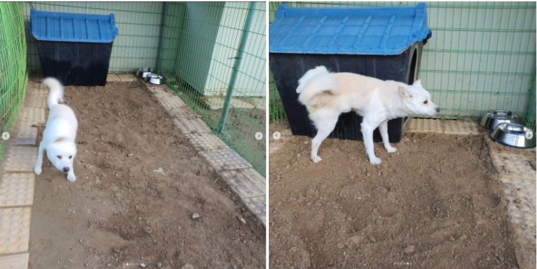 f64e05727255025744265cbbf8020443_1672729266_0075.png f64e05727255025744265cbbf8020443_1672729266_0075.png