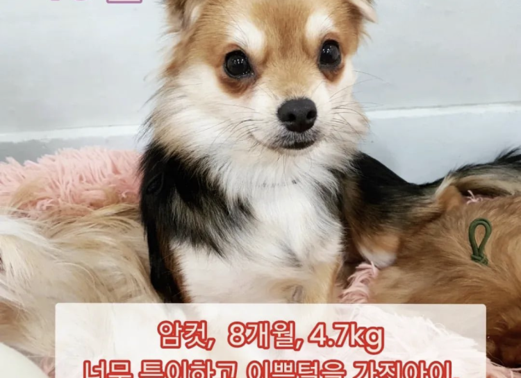 6bd7332fbf829305aa6e1acf6c21b6a5_1676615112_0225.png 6bd7332fbf829305aa6e1acf6c21b6a5_1676615112_0225.png