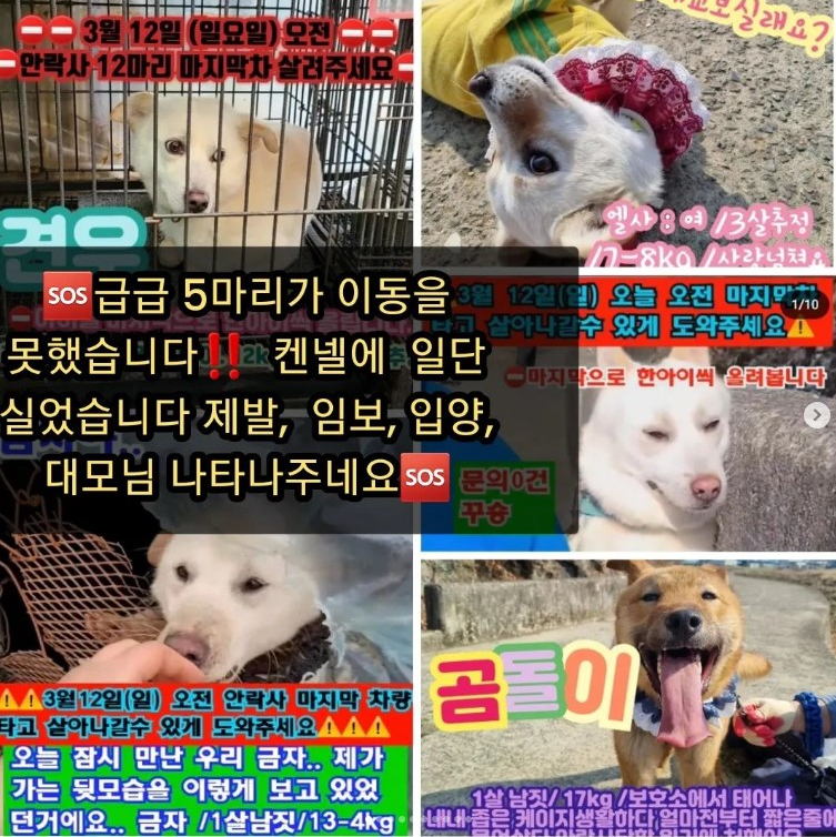 500c023a0d6bef60a3fd085da74fe8aa_1680622053_3485.jpg 500c023a0d6bef60a3fd085da74fe8aa_1680622053_3485.jpg