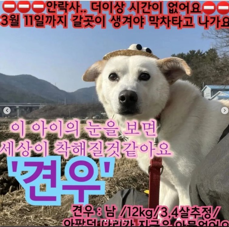500c023a0d6bef60a3fd085da74fe8aa_1680622071_6341.jpg 500c023a0d6bef60a3fd085da74fe8aa_1680622071_6341.jpg