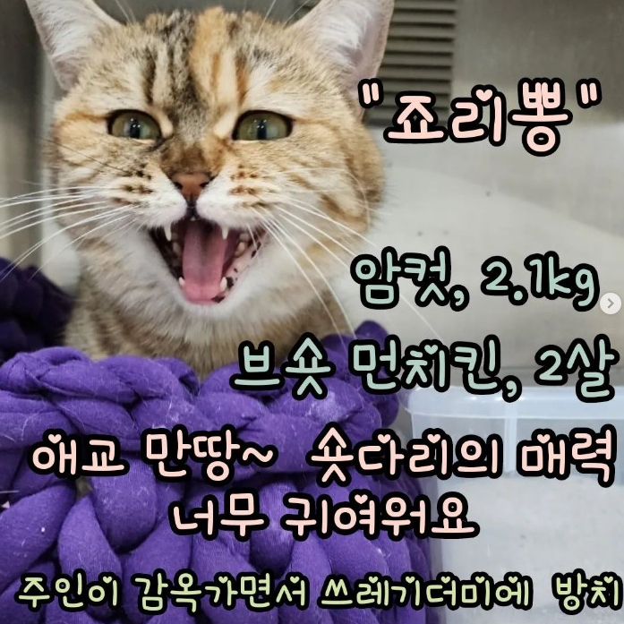 a75f4a193e7c76ab63faff862c9b8c86_1680451659_9345.jpg a75f4a193e7c76ab63faff862c9b8c86_1680451659_9345.jpg