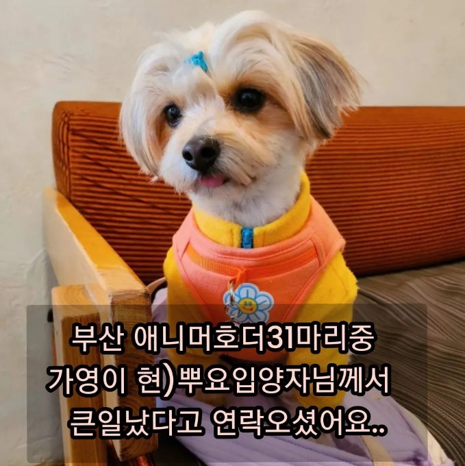 a75f4a193e7c76ab63faff862c9b8c86_1680453251_846.jpg a75f4a193e7c76ab63faff862c9b8c86_1680453251_846.jpg