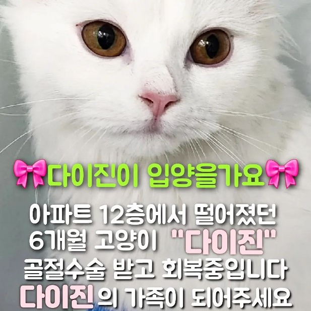55236a163462dd392a9ac0757615b1c8_1685095401_2947.jpg 55236a163462dd392a9ac0757615b1c8_1685095401_2947.jpg