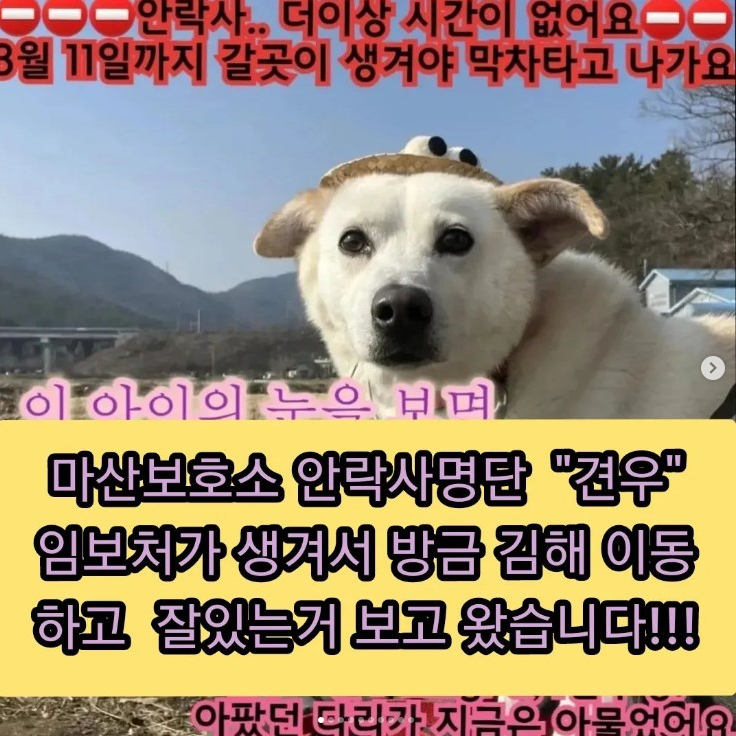 9358e70b893aa5fbebff875740e32376_1683364907_343.jpg 9358e70b893aa5fbebff875740e32376_1683364907_343.jpg