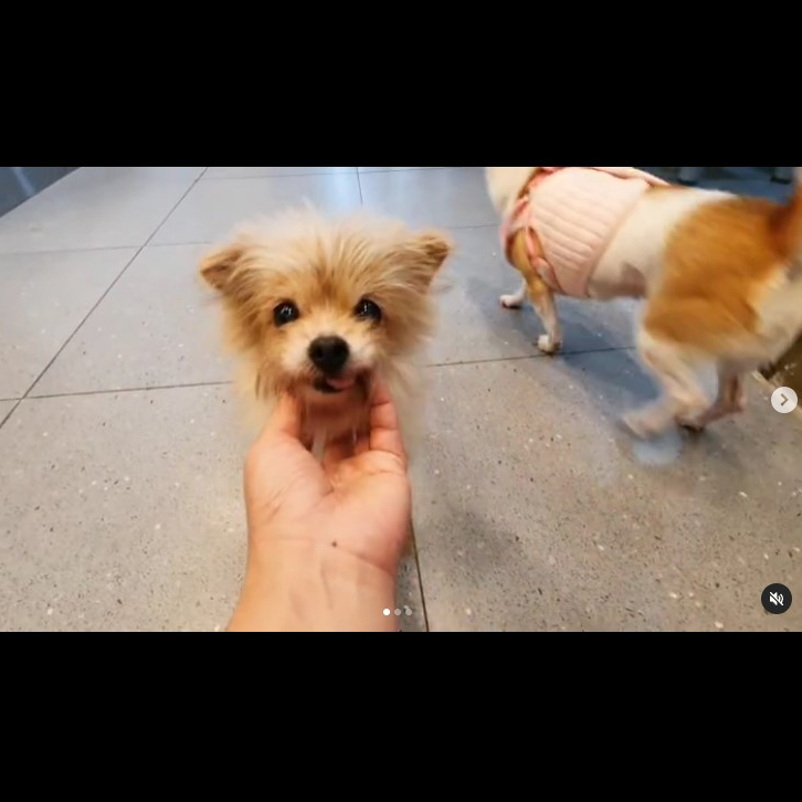 b6ad378153c71e82fade57b3ec9babd4_1687929595_5442.jpg b6ad378153c71e82fade57b3ec9babd4_1687929595_5442.jpg