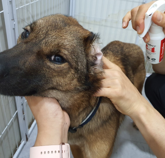 ae89aa8372beb47d58f216405f09e754_1690872018_402.png ae89aa8372beb47d58f216405f09e754_1690872018_402.png